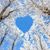 Mary Snook's profile image