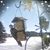 Kristine J. Brown's profile image