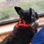 Jill Andersen's profile image