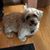 Ann-Marie Gaudet's profile image