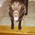 Kevin N Annette Lamb's profile image