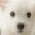Alice Mason's profile image
