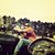 Brandon Reaux's profile image
