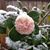 Serena Garland's profile image