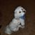 Bobbie Craig's profile image