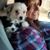 Kim Hansen's profile image
