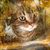 Lora Blankenship's profile image
