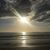 Tania Theil's profile image