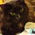 Sue Korte Koeppe's profile image