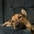 Jay Haaga's profile image