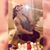 Alexis Sierra's profile image
