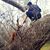 Felicity Macdonald's profile image