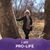 Karen Williams Wood's profile image