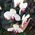 Marita Choquette's profile image