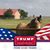 Nanci Straughan Saunders's profile image