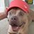 Angela Kaul's profile image