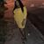 Janeisha Roberts's profile image