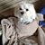 Judy Kabacinski's profile image