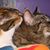 Melissa Newbill's profile image