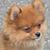 Jennifer Perrin Gorski's profile image