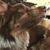 GeriLynn Weills's profile image