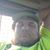 Christopher Michael Anthony's profile image