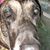 Leila Maria's profile image