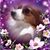 Stephanie Coffin's profile image