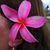 Barbra Benes's profile image