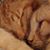 Colleen Alkire's profile image