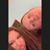 Gina Fresoli's profile image