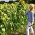 Donna Branch-Cottrell's profile image
