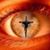 Shelley Kluender Kime's profile image