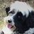 Roseann Roback's profile image