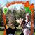 Jerrilynn K Sanford's profile image
