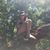 Shelley Harris Hawkinson's profile image