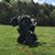 Tim Trostle's profile image