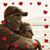 Kelly Faile's profile image