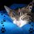 Tracy Murphy Denney's profile image