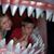 Randy A. Godshalk's profile image