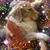 Michelle Moyers's profile image