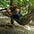 Ellen Greb-Holland's profile image
