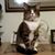 Carol Pezzuto Taylor's profile image