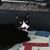 Mary Carol Bottorff's profile image
