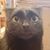 Kim Perkins-Murillo's profile image