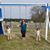 Amelia Saunders Clements's profile image