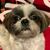 Cheryl Glover's profile image