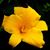 Jo Cole's profile image