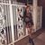 Jade Ashley Kelley's profile image