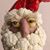 Susan Gould Manchester's profile image